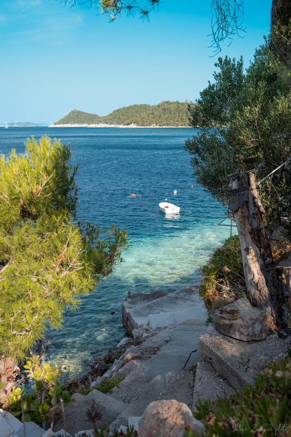 Apartments Lastovo Silic Extérieur photo